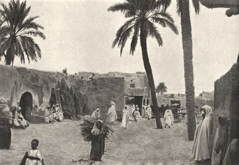 ALGERIA Biskra. Oasis de Sidi Okba antique print 1895 | Old photos, Painting, Antique prints