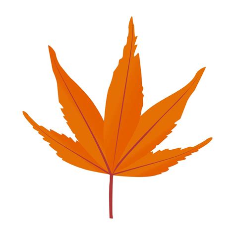 Japanese Maple Concepts 4609617 Vector Art at Vecteezy