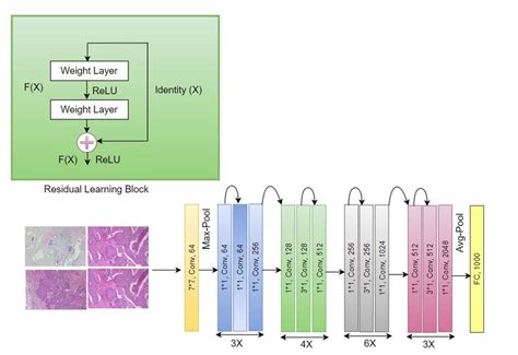 Inception-V3 CNN architecture. | Download Scientific Diagram