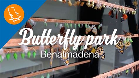 The Benalmadena Butterfly Park - YouTube