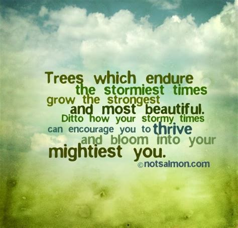 Trees which endure the stormiest times grow the strongest and most beautiful. Ditto how ...