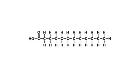 What Are The Different Types of Fatty Acids? – Fitness-Spell