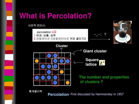 PPT - Introduction to Percolation PowerPoint Presentation, free download - ID:4332892