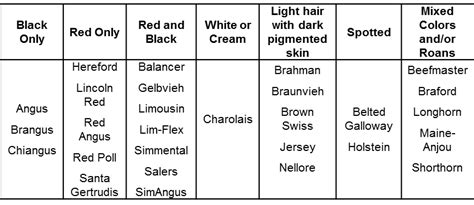 Color Patterns in Crossbred Beef Cattle – Beef Cattle