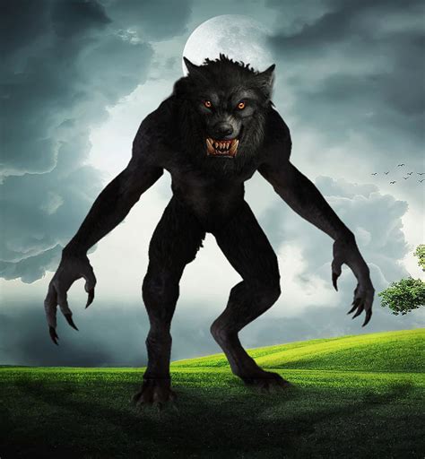 Werewolf Digital Art by Barroa Artworks - Fine Art America