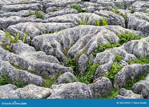 Limestone Pavement Mahlam Cove Yorkshire Dales England Stock Image ...