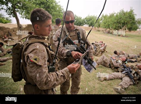 US Marines with the 1st Battalion, 7th Marine Regiment, consult a map ...