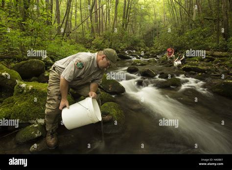 Usdagov 16646763777 travis scott fish hi-res stock photography and ...