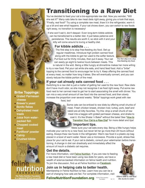 Feline Nutrition: One Page Guides - Jackson Galaxy | Raw diet, Cat ...