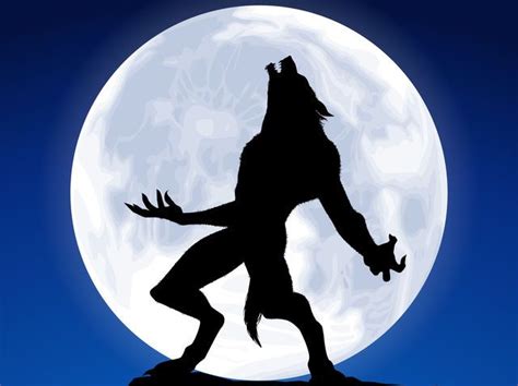 Werewolf Halloween Full Moon Gray Wolf Halloween Were - vrogue.co