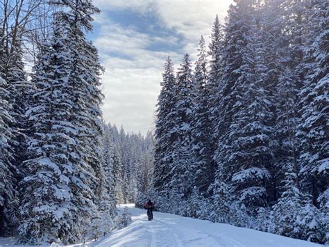 Crowsnest Pass Things To Do Right Now, This Winter!