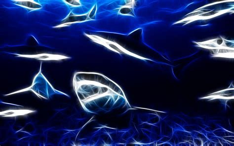 Shark Wallpaper