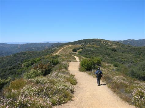 Topanga State Park hikes | State parks, Topanga state park, California