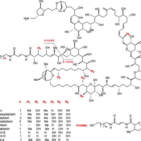 Structures of palytoxin and its derivatives (congeners) | Download ...