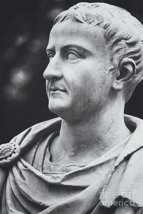 Roman emperor Tiberius Photograph by Marcus Lindstrom