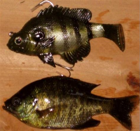 Real Fish Bait Bluegill Swimbait Shellcracker(id:3895507) Product ...