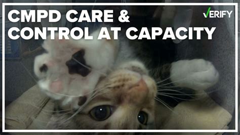 VERIFY | CMPD Animal Care & Control at capacity | wcnc.com