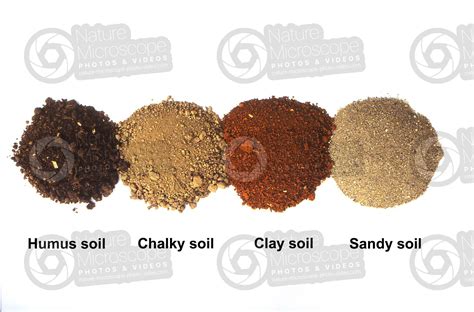 Humus chalky clay sandy soil - Types of soil structure - Types of soil structure - Rocks and ...