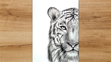 How to Draw Tiger Face Step by Step | White Tiger Close Up - YouTube