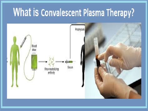 What is Plasma Therapy, how it works and can it be helpful in the treatment of COVID-19?