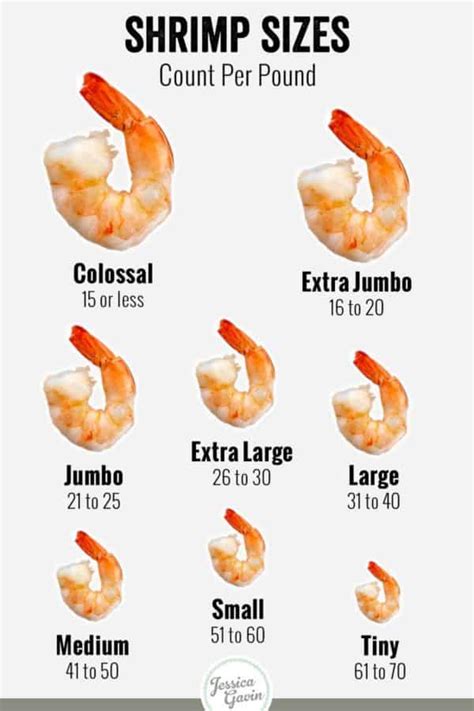 Types and Sizes of Shrimp | Shrimp sizes, Shrimp, Royal red shrimp recipe