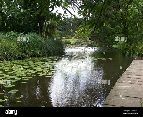 Cambridge University Botanic Gardens Stock Photo - Alamy