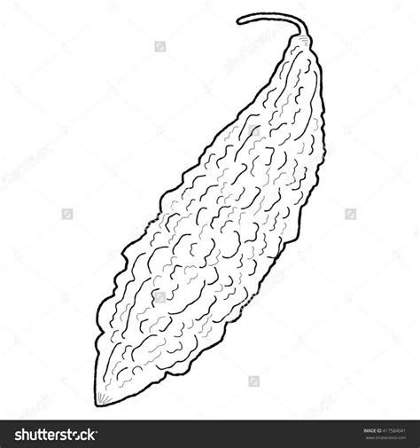 ampalaya clipart black and white 10 free Cliparts | Download images on ...