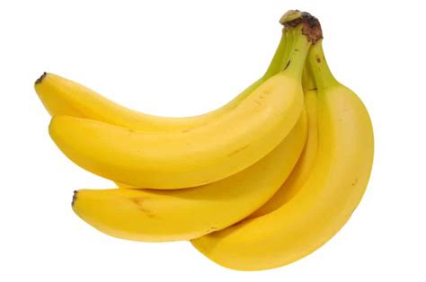 How To Grow Bananas Indoors - Homestead & Survival