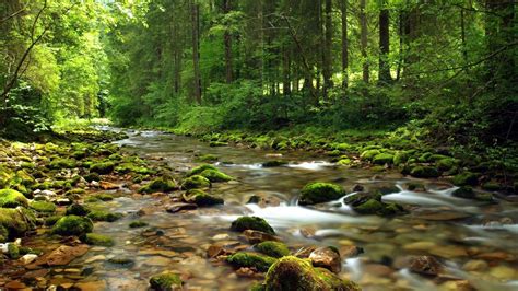 Image result for summer country scenes | Mountain stream, Landscape ...