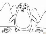 25 Free Penguin Coloring Pages For Kids And Adults sketch template