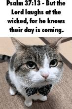 Lord laughs at the wicked, for he knows their day is coming. - iFunny