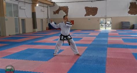 Taekwondo strength and conditioning at home or school (VIDEO) – BOEC.COM