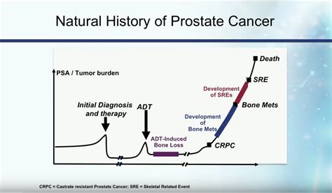 Daniel P. Petrylak, MD | Sequencing of Adjuvant Therapies