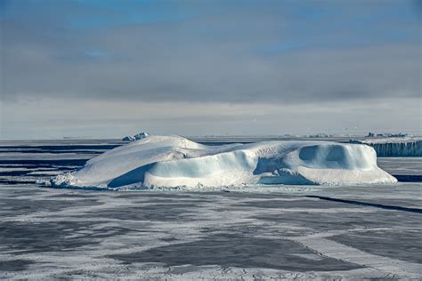 Sea Ice in the Weddell Sea in Antarctica — Lynne Buchanan Photography