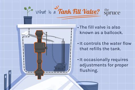 Dual Flush Valve Water Closet | Dandk Organizer