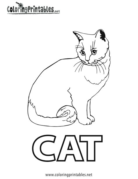 Spell Cat Coloring Page - A Free Educational Coloring Printable | Cat coloring page, Coloring ...