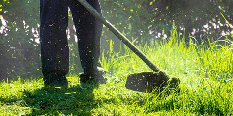 Lawn Care Services, Maintenance, and Fertilizer - The Hoster Group