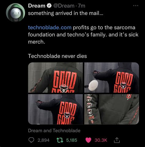 dream is wearing technos merch! rivals my beloveds : r/Technoblade