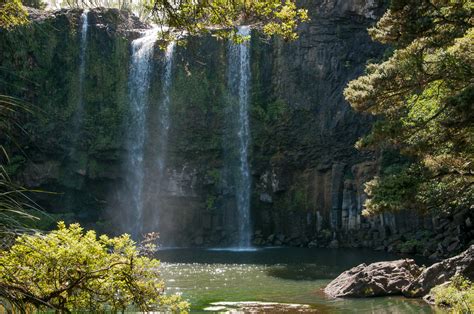 Whangarei Falls - Ed O'Keeffe Photography