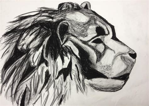 Lion Profile Drawing by Freddie Grovin