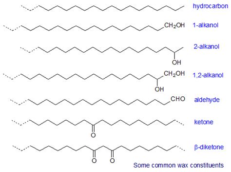 [DIAGRAM] Diagram Of The Chemical Structure Of Ear Wax - MYDIAGRAM.ONLINE