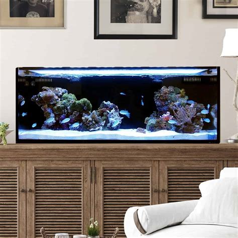 The Best 30 Gallon Fish Tanks & Aquariums For The Money 2022