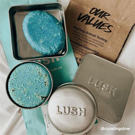 Lush Cosmetics Review - Must Read This Before Buying