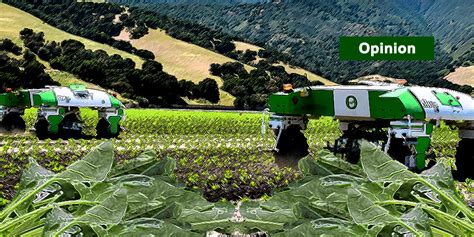 Agricultural Weeding Robots Reduce Costs, Benefits Workers and Protects the Environment ...