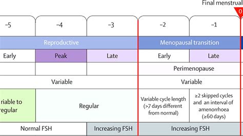 Stages Of Menopause Symptoms - Menopause Choices