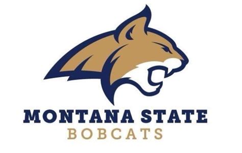 Montana State's new logos. Still the same idea but a new look is always ...