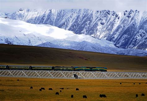 青藏铁路 - 维基百科，自由的百科全书