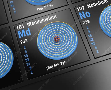 Mendelevium, atomic structure - Stock Image - C045/6332 - Science Photo ...