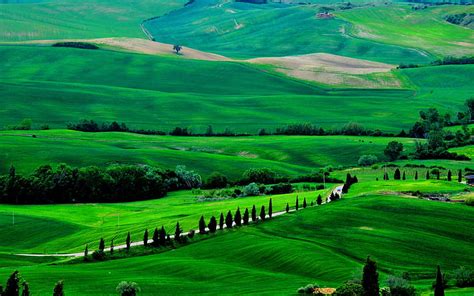 Discover more than 73 green scenery wallpaper super hot ...