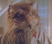 Splinter ( Tortues Ninja Teenage Mutant ) - Splinter (Teenage Mutant ...